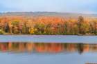 USA, Michigan, Ottawa National Forest. Maple tree forest reflects in lake. Art Print
